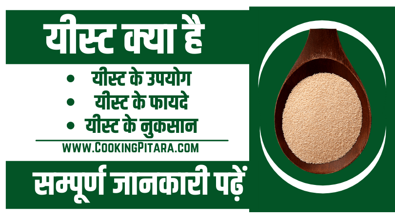 Yeast Meaning In Hindi Cooking Pitara